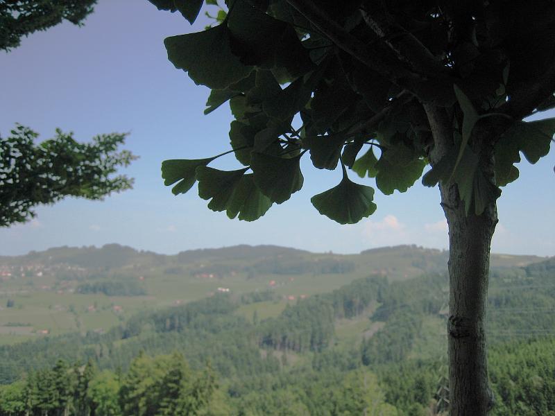 2010 06 26 A